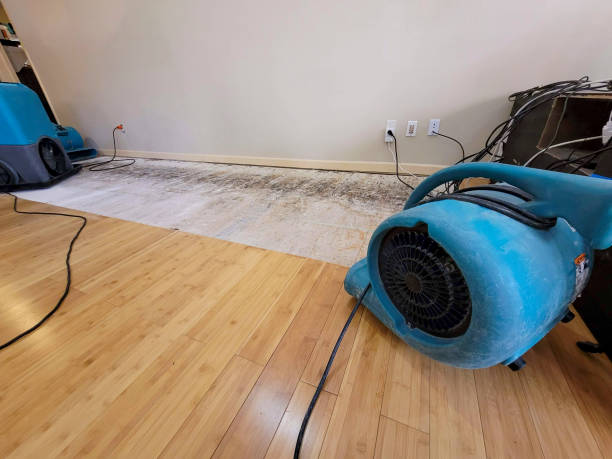 Professional Flood Damage Cleanup technician working in Hope, MI